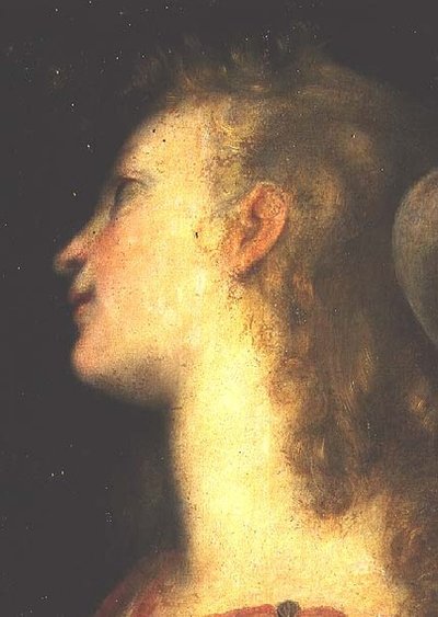 Testa di un Angelo da Federico Fiori Barocci or Baroccio
