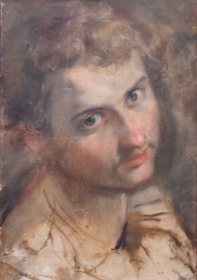 Studio per la testa di San Giuda da Federico Fiori Barocci or Baroccio
