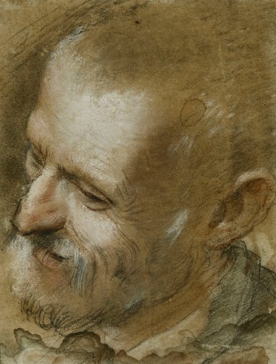Studio della testa di un uomo barbuto girato a sinistra, 1590 da Federico Fiori Barocci or Baroccio
