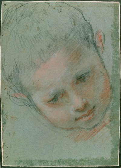 La testa di un ragazzo, c.1586-89 da Federico Fiori Barocci or Baroccio