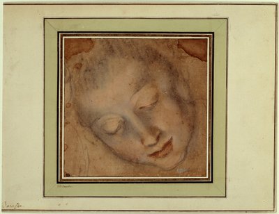 Testa di donna con occhi fermi Disegno a sanguigna e carboncino di Federico Barocci detto Il Baroccio (1526-1613). Parigi, Museo del Louvre da Federico Fiori Barocci or Baroccio