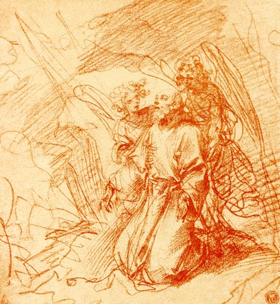 San Francesco in estasi da Federico Panza