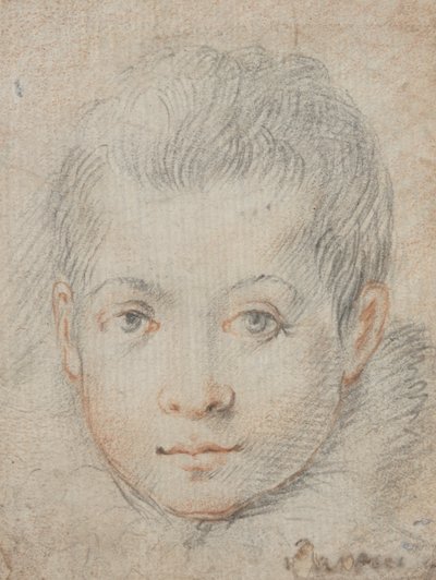 Testa di un ragazzo da Federico Zuccaro