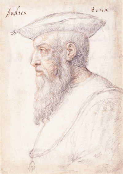 Ritratto di Andrea Doria di profilo a sinistra, con l
