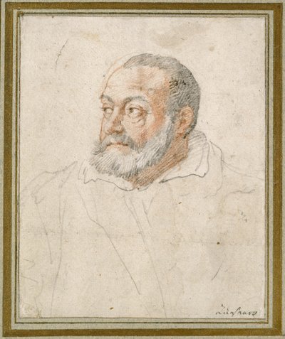 Ritratto di un uomo da Federico Zuccaro
