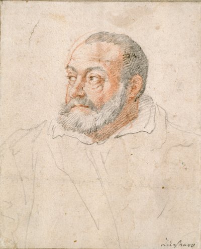 Ritratto di un uomo, Barozzi da Vignola da Federico Zuccaro