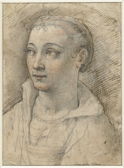 Ritratto di donna sconosciuta da Federico Zuccaro
