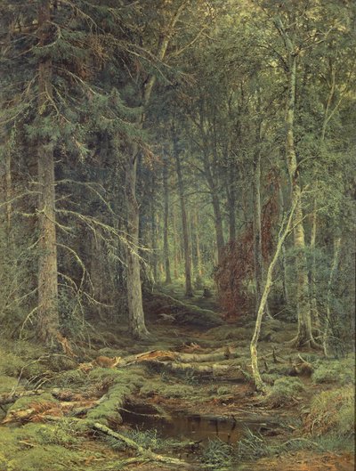 Palude nella foresta, autunno da Fedor Aleksandrovich Vasiliev