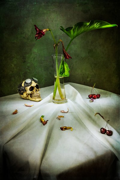 Teschio gotico Vanitas da Felice Angelino