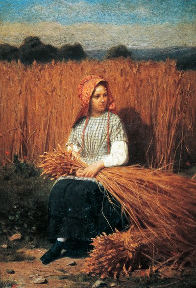 Spigolatrice da Felice Barucco