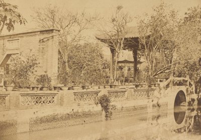 Giardini di Howqua, Canton da Felice Beato