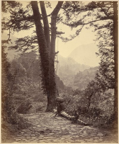 Vista sul passo di Hakone da Felice Beato