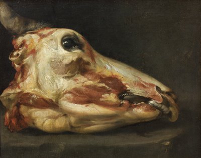 Testa scuoiata di un bue da Felice Boselli
