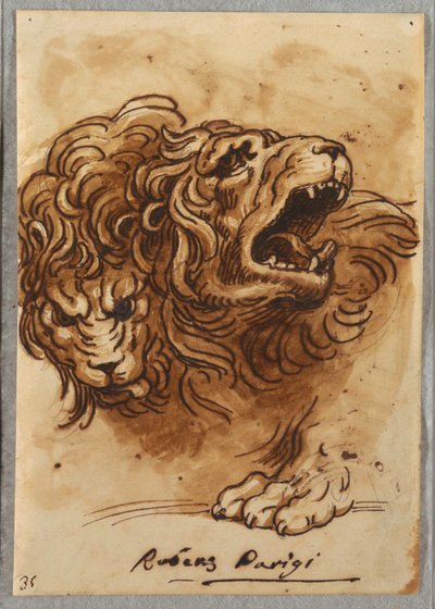 Due Teste di Leone da Felice Giani