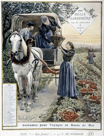 Raccolta di fragole - di Myrbach, Calendario 