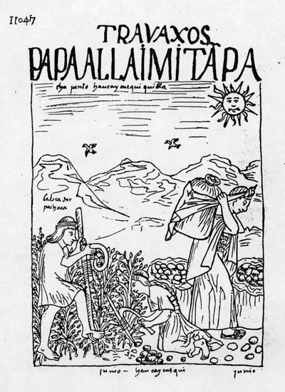 Il mese di giugno, raccolta delle patate da Felipe Huaman Poma de Ayala