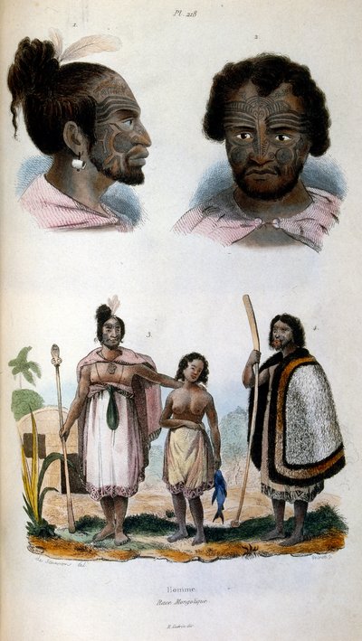 Illustrazione antropologica che raffigura la razza Maori da Felix-Edouard Guerin