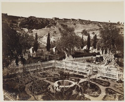 Jardin De Gethseman n. 303 da Félix Bonfils