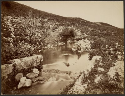 La fonte di Eliseo, Palestina da Félix Bonfils