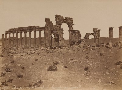 Palmira: veduta generale dell