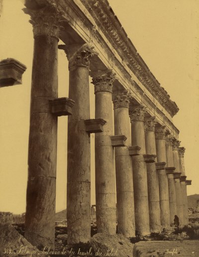 Resti del colonnato del Tempio del Sole a Palmira, Siria da Félix Bonfils