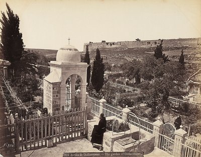 Veduta del giardino del Getsemani o dell