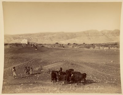 Panorama generale di Gerico visto dalla pianura da Félix Bonfils
