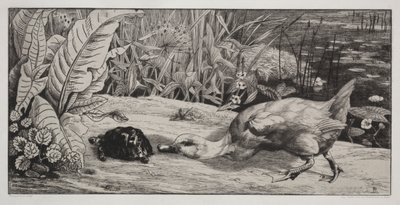 Uno sconosciuto da Felix Bracquemond