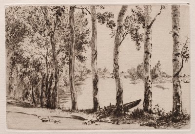 Pioppi sulla riva della Senna da Felix Bracquemond