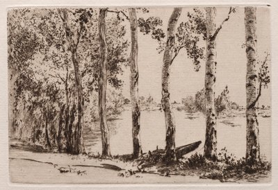 Pioppi sulla riva della Senna da Felix Bracquemond