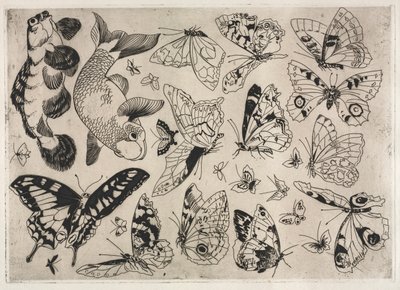 Servizio da tavola (servizio Rousseau): Farfalle e pesci (n. 16) da Felix Bracquemond