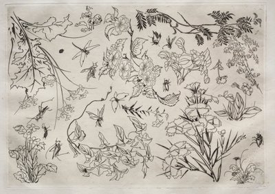 Servizio da tavola (servizio Rousseau): Fiori (n. 22) da Felix Bracquemond