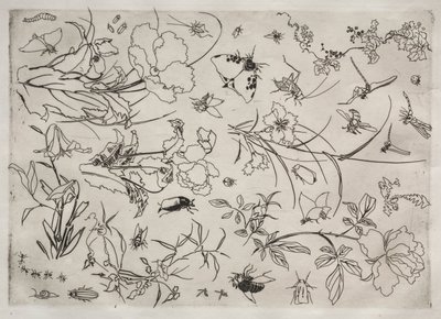 Servizio da tavola (servizio Rousseau): Fiori e insetti (n. 15) da Felix Bracquemond