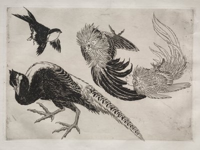 Servizio da tavola (servizio Rousseau): Fagiani e uccello (n. 18) da Felix Bracquemond