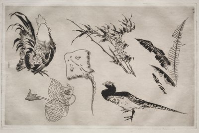 Servizio da tavola (servizio Rousseau): Galli, razza, piante, ecc. (n. 9) da Felix Bracquemond