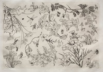 Servizio da tavola Rousseau: Fiori n. 22, 1866 da Felix Bracquemond