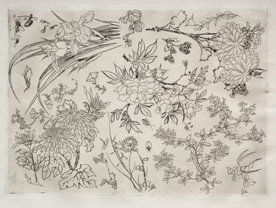Servizio da tavola Rousseau: Fiori n. 23, 1866 da Felix Bracquemond