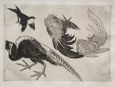 Servizio da tavola Rousseau: fagiani e uccello n. 18 da Felix Bracquemond