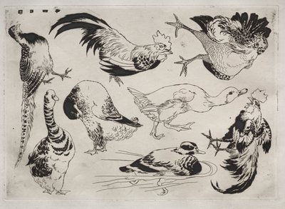 Servizio da tavola Rousseau: Galli, anatre, ecc. n. 13, 1866 da Felix Bracquemond