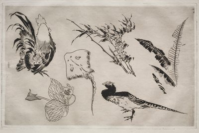 Servizio da tavola Rousseau: Galli, razze, piante, ecc. n. 9, 1866 da Felix Bracquemond