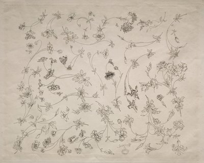 Disegni floreali per piatti e bordi (n. 14) da Felix Bracquemond