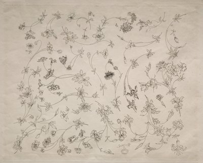 Disegni floreali per piatti e bordi n. 14 da Felix Bracquemond