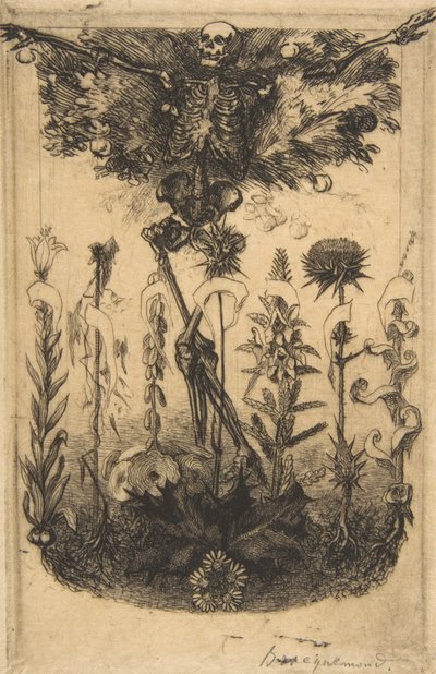 Frontespizio per Les Fleurs du Mal, 1857 da Felix Bracquemond