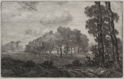 Paesaggio, dopo Français da Felix Bracquemond