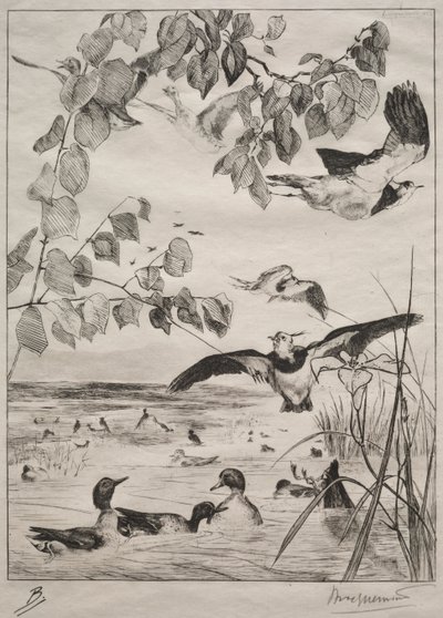 Pavoncelle e alzavole, 1862 da Felix Bracquemond