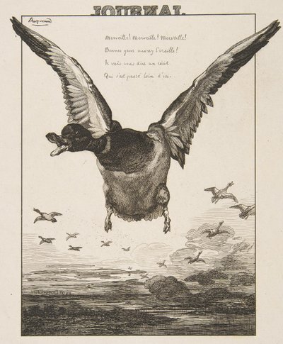 Le Canard da Felix Bracquemond