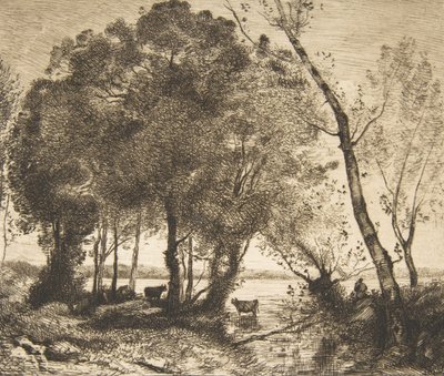 Il lago da Felix Bracquemond
