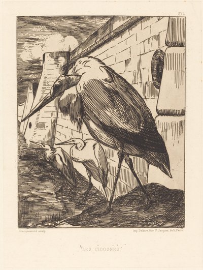 Le Cicogne da Felix Bracquemond