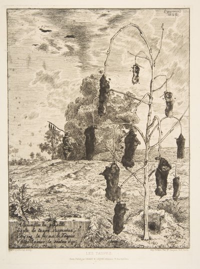Le talpe, 1854 da Felix Bracquemond