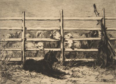 Pecore Recintate, 1856 da Felix Bracquemond